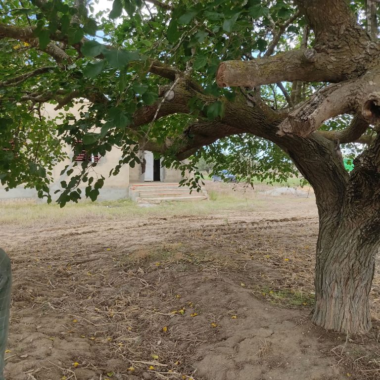Terrain agricole avec villa au coeur du cap bon
