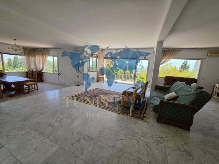 Villa style arabesque &agrave; carthage