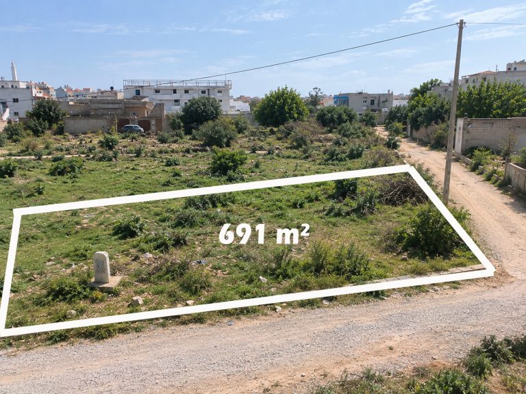 88332 20260926 165000 768x576