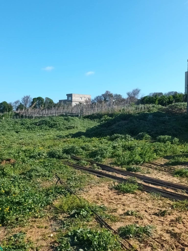 Un terrain vue sur mer situé à nadhour bizerte