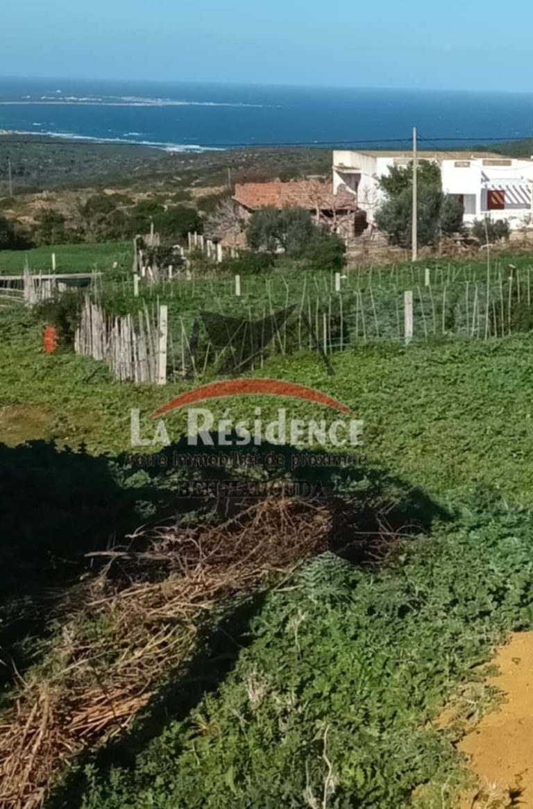 Un terrain vue sur mer situé à nadhour bizerte