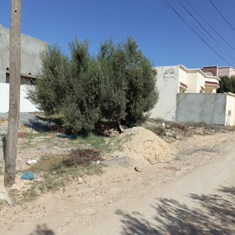 Av 250m vocation d'habitation &agrave; hammamet sud