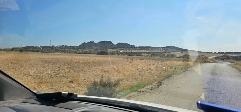 Hectare a sidi jdidi hamammet